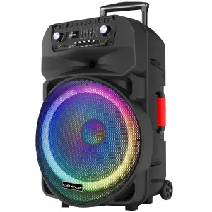 Преносима тонколона EK-1818, 18" високоговорител, Led осветена, Два микрофона, Презаредима батерия