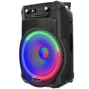 Преносима тонколона EK-1819, 18" високоговорител, Led осветена, Два микрофона, Презаредима батерия