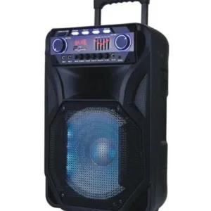 Преносима тонколона ЕК-1305, Bluetooth, FM радио, Дистанционно управление, 2 Безжични микрофона, 400W, Батерия 4,5 Ah